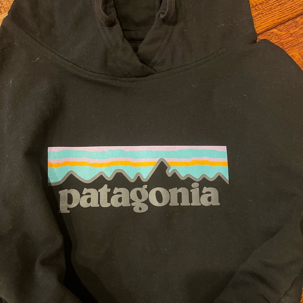 Patagonia Logo Sweatshirt